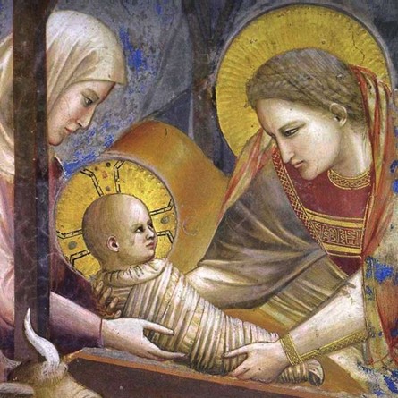 Giotto, La Nativité (détail)